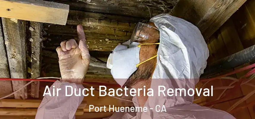  Air Duct Bacteria Removal Port Hueneme - CA