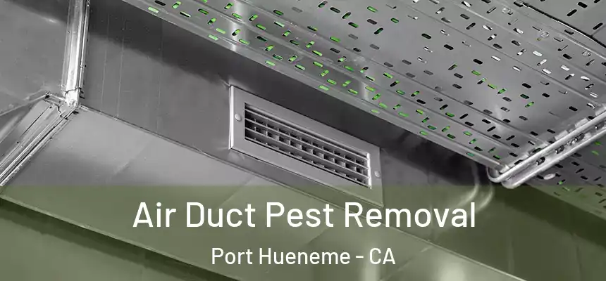  Air Duct Pest Removal Port Hueneme - CA