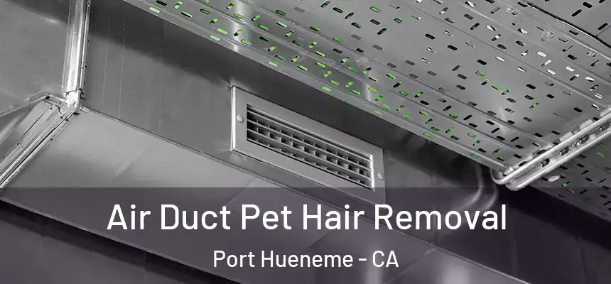 Air Duct Pet Hair Removal Port Hueneme - CA