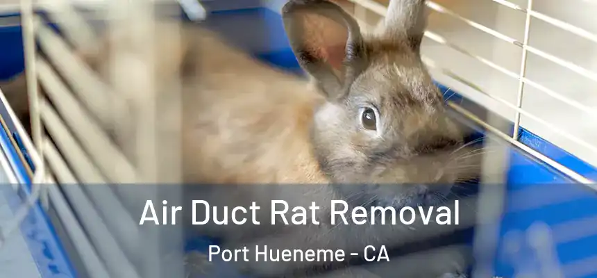 Air Duct Rat Removal Port Hueneme - CA