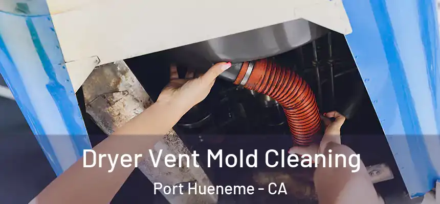  Dryer Vent Mold Cleaning Port Hueneme - CA