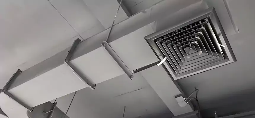 Restorative Allergy Relief Vent Cleaning – Coil, Blower & Housing Detail in Port Hueneme