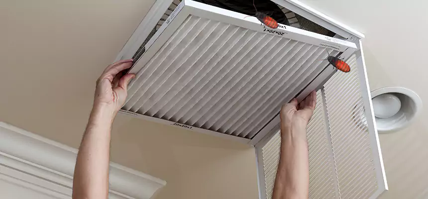 Our Insect Removal from Air Ducts Services in Port Hueneme, CA