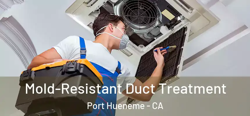  Mold-Resistant Duct Treatment Port Hueneme - CA