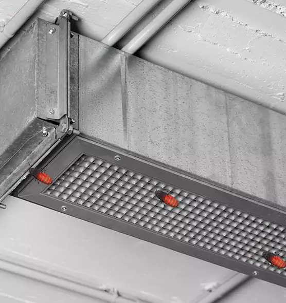 About Air Duct Cockroach Removal in Port Hueneme, CA