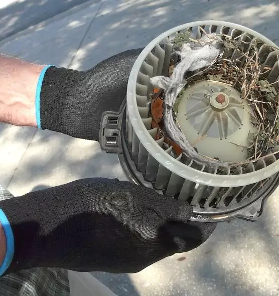 About Air Duct Rat Removal in Port Hueneme, CA