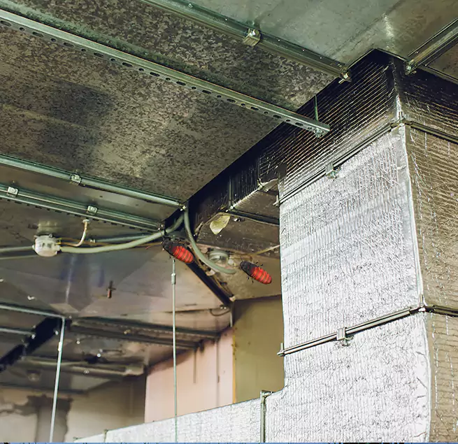 Why Homeowners & Businesses Trust Us in Port Hueneme, CA?