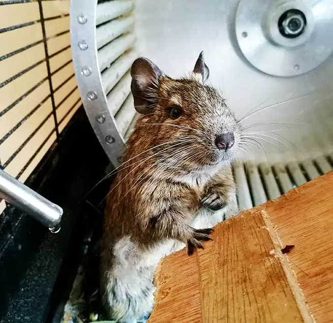 Why Homeowners & Businesses Trust Us Port Hueneme, CA