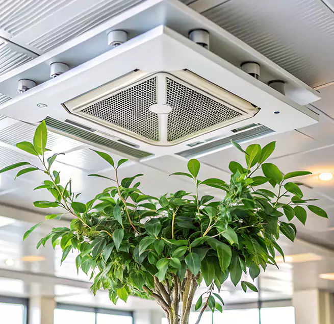 Why Homeowners & Businesses Trust Us in Port Hueneme, CA